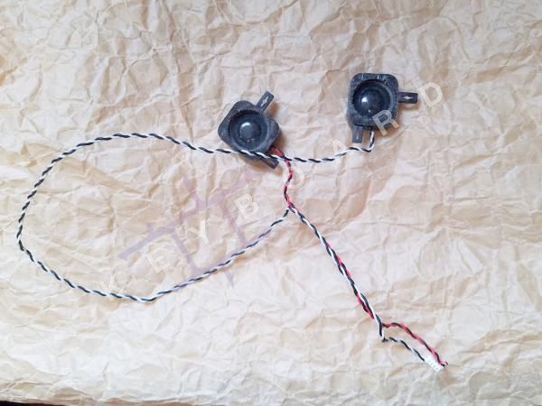 Динаміки Samsung NP-R58Y